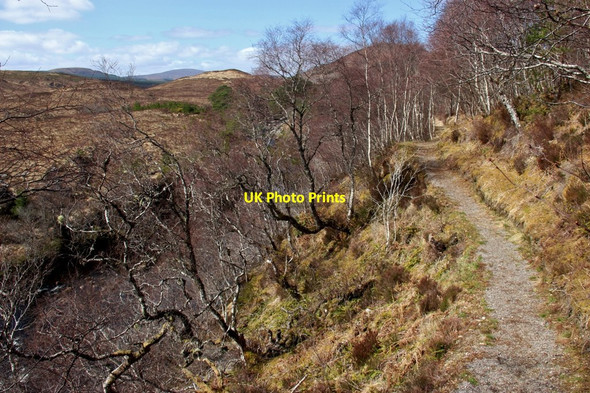Photo 6"x4" Woodland path to Oykel Falls Caplich Wood c2016