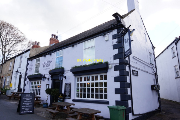 Photo 6"x4" Arabian Horse, Aberford Aberford c2016
