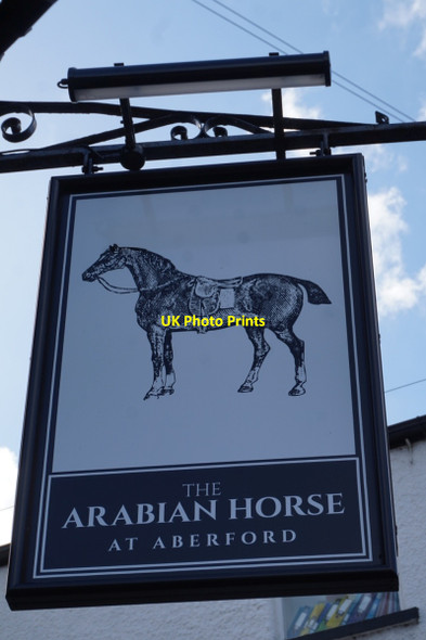 Photo 6"x4" Arabian Horse, Aberford Aberford c2016 P1