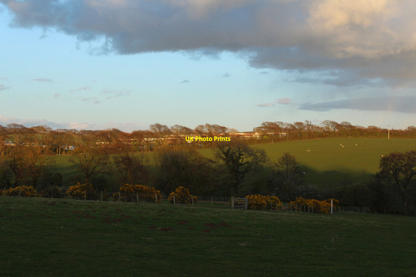 Photo 6"x4" Farmland near Crofthead Ayr c2016