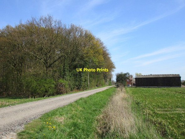 Photo 6"x4" Corner Farm Arglam Water End\/SE7838 c2016