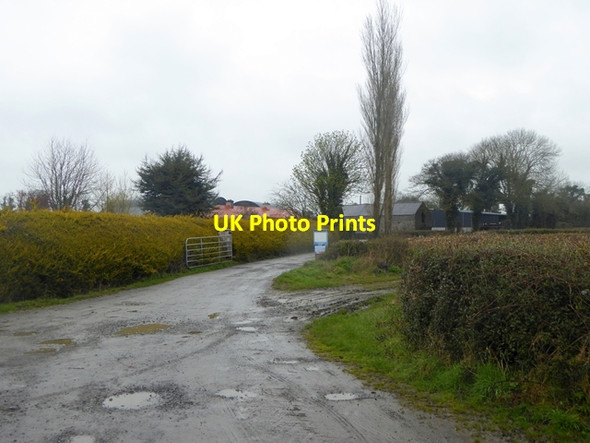 Photo 6"x4" Farm entrance at Cappaneary Rosenallis c2016