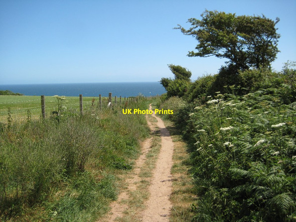 Photo 6"x4" The coast path above Warren Cove Stoke Fleming c2011