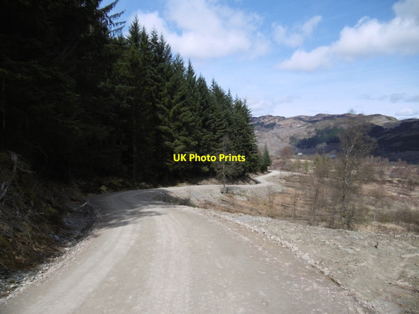 Photo 6"x4" Road, Achray Forest Brig o' Turk c2016