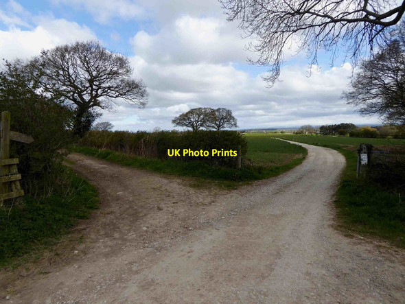 Photo 6"x4" Bridleway junction near Sicklinghall Sicklinghall c2016