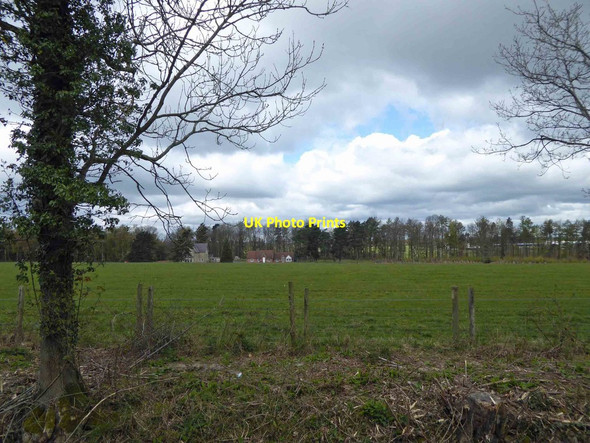 Photo 6"x4" View towards Quarry Wood Harrogate c2016