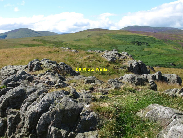 Photo 6"x4" Crags on Hart Heugh Middleton Hall\/NT9825 c2015
