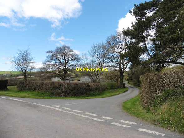 Photo 6"x4" Road to Waldron's Farm Ashbrittle c2016