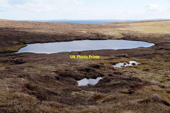 Photo 6"x4" Swarta Shun, Burravoe Upper Neepaback c2016