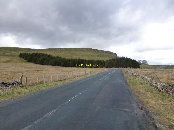 Photo 6"x4" Causeway Moss Cray\/SD9479 c2016