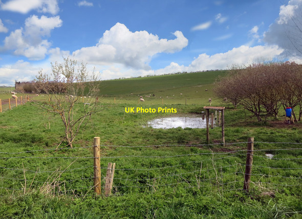 Photo 6"x4" Dew Pond in the Valley South Fawley c2016