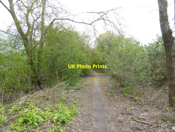 Photo 6"x4" Path goes north between industrial estate and railway Tinsley Green c2016