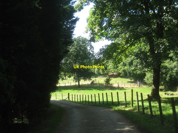 Photo 6"x4" Roadway at Castle Semple Howwood c2013 P1