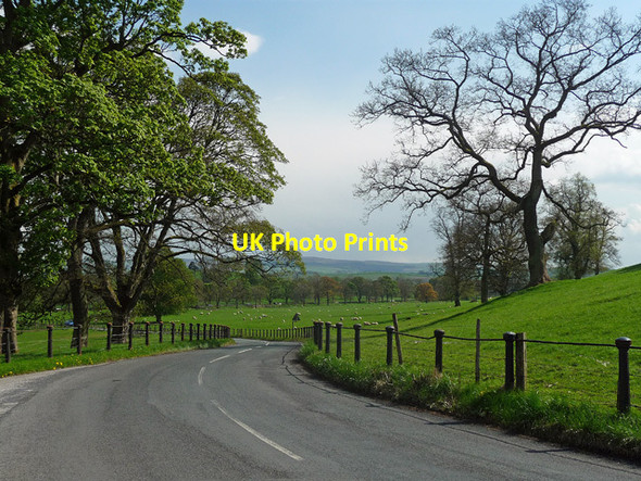 Photo 6"x4" Country road, Eshton (2) Eshton c2013