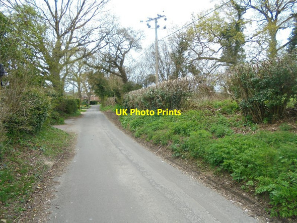 Photo 6"x4" View along Pardown Pardown c2016