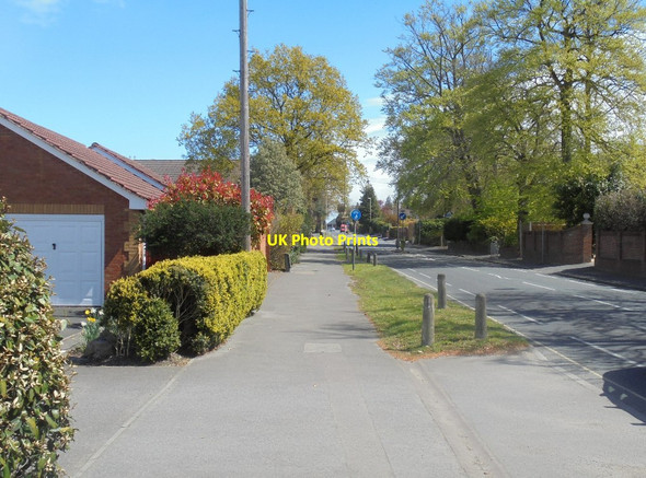 Photo 6"x4" View along Prospect Avenue Farnborough\/SU8754 c2016