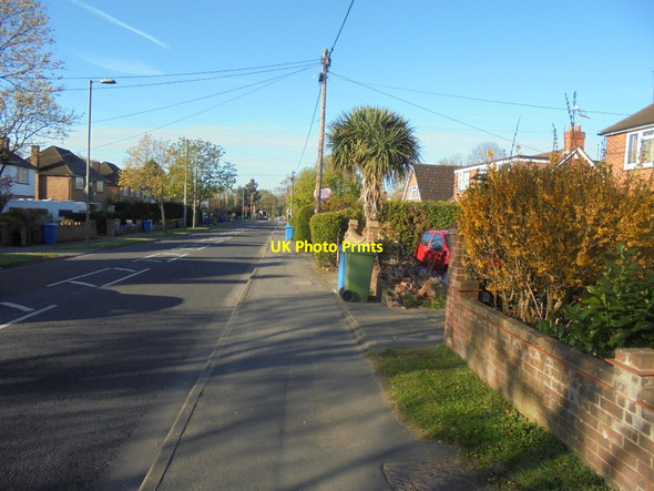 Photo 6"x4" View along Prospect Road Farnborough\/SU8754 c2016