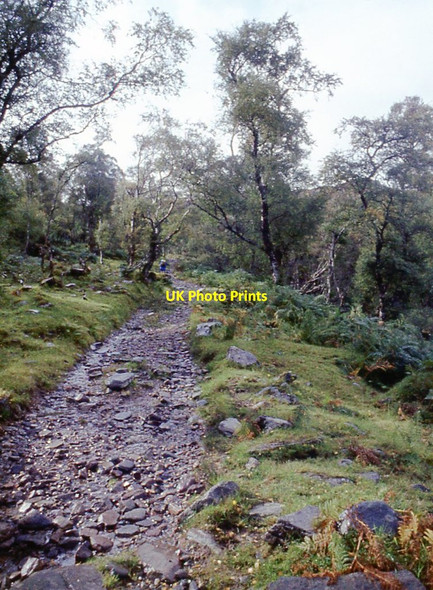 Photo 6"x4" Track up Gleann Chaorachain Dundonnell c1974