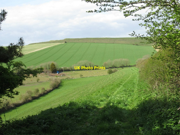Photo 6"x4" Steep pasture Winterborne Monkton c2016