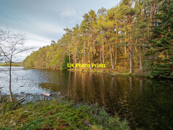 Photo 6"x4" Loch Lundie Kilmuir\/NH6749 c2016