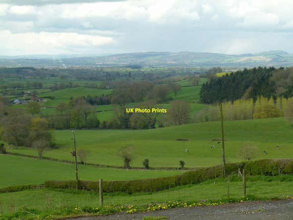 Photo 6"x4" View over the valley of the Teme Nash\/SO6071 c2016