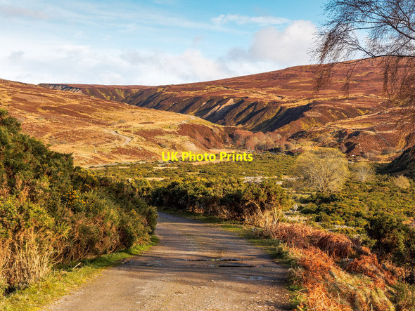 Photo 6"x4" Estate Track Garbhal Beag c2016