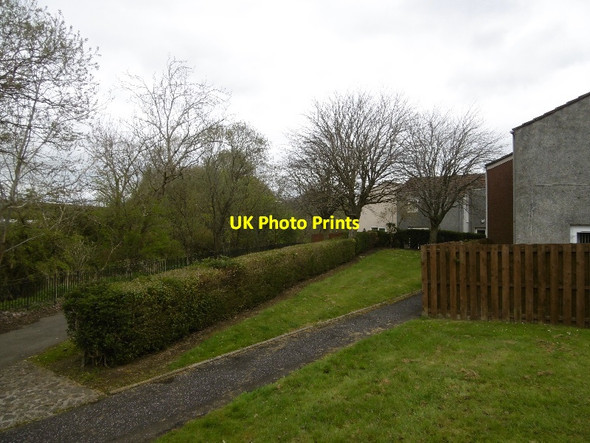 Photo 6"x4" Beside the Burnside Path Livingston c2016