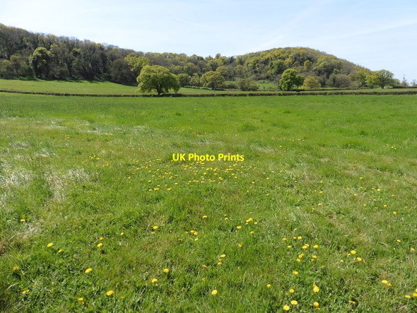 Photo 6"x4" Meadows below Swell Wood Swell c2016
