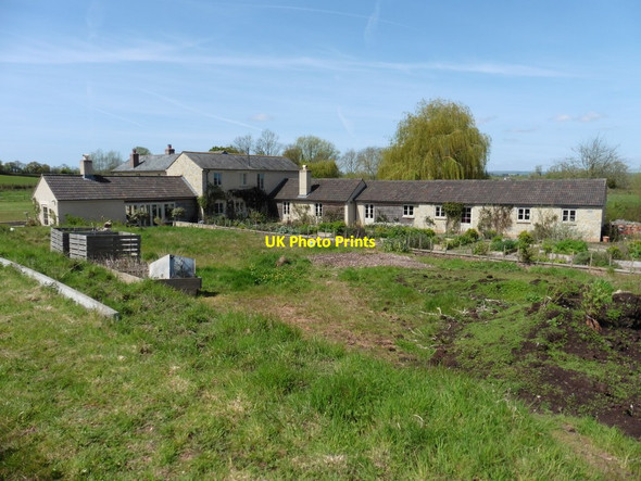 Photo 6"x4" Eastwood Farm Swell c2016