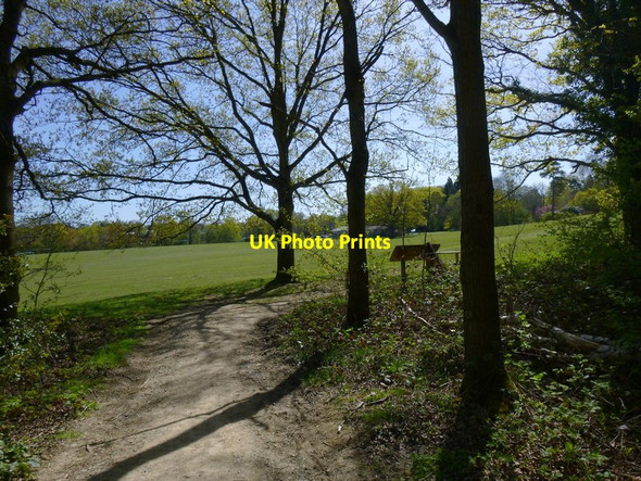 Photo 6"x4" Edge of football ground in Ashplats Wood East Grinstead c2016