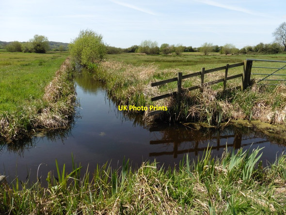 Photo 6"x4" Side drain, Fivehead Drove Upper Fivehead c2016