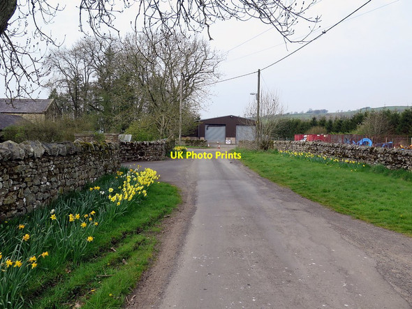 Photo 6"x4" Road near Yellow House Farm West Woodburn\/NY8986 c2016 P1