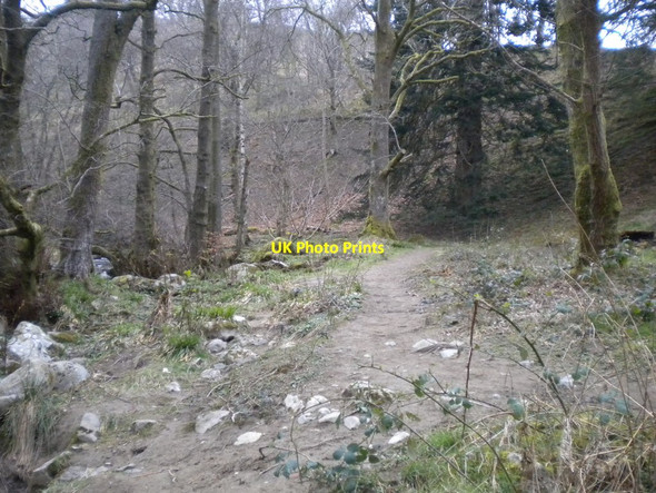 Photo 6"x4" Path through the woods towards Aira Force Dockray\/NY3921 c2016
