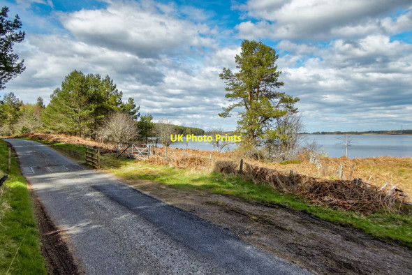 Photo 6"x4" Cattle Grid Dores c2016