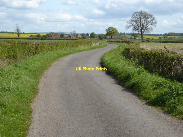 Photo 6"x4" Road to Hill Croome Baughton c2016