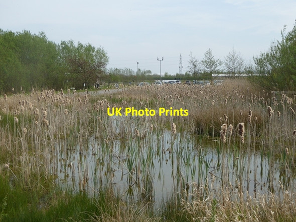 Photo 6"x4" Pond by the entrance to the Idle Valley Nature Reserve Sutton Cum Lound c2016