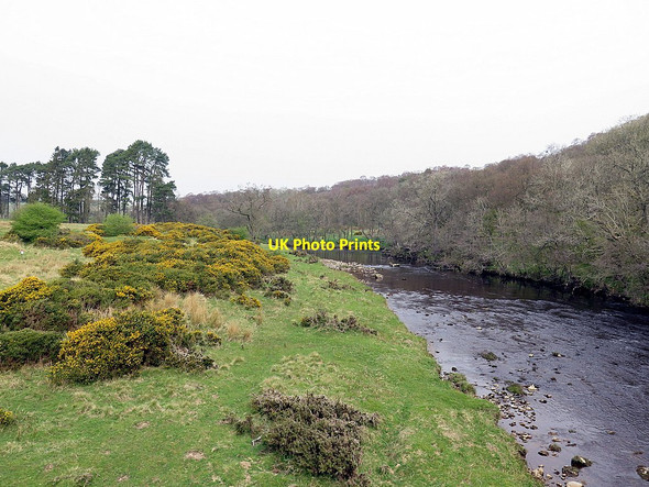 Photo 6"x4" River Rede at East Woodburn Bridge East Woodburn c2016