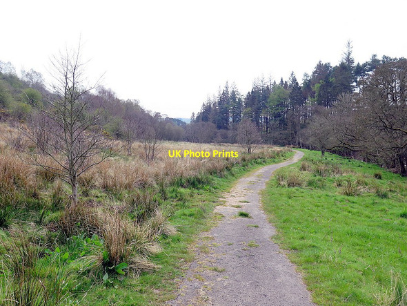 Photo 6"x4" Byway to East Woodburn East Woodburn c2016