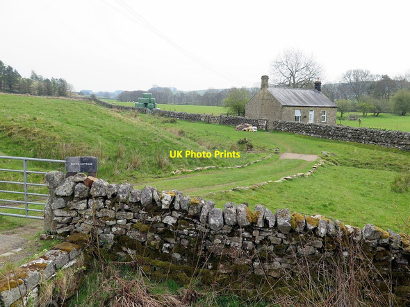 Photo 6"x4" Blyth Cottage near Chairford Bridge East Woodburn c2016