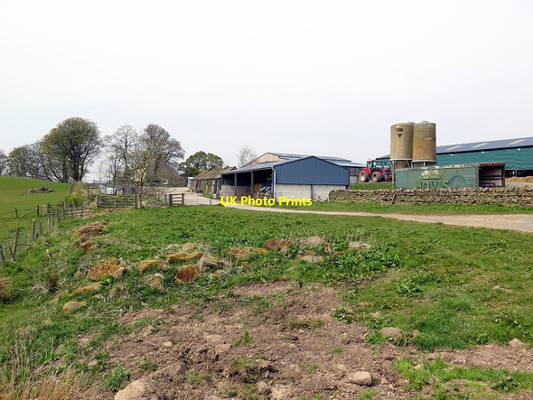 Photo 6"x4" Blakelaw Farm East Woodburn c2016 P1
