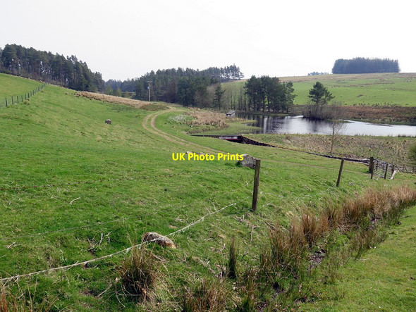 Photo 6"x4" Lake near Linnheads East Woodburn c2016