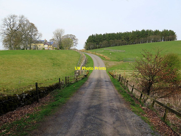 Photo 6"x4" Road south of Linnheads East Woodburn c2016