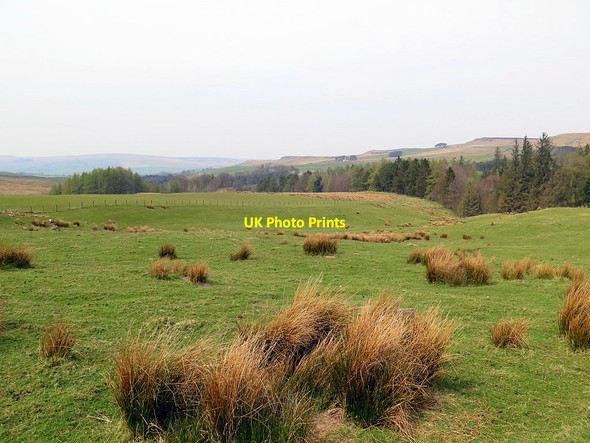 Photo 6"x4" Farmland south of Lisles Burn Dene East Woodburn c2016