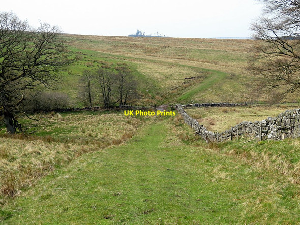 Photo 6"x4" Bridleway near Risey Burn East Woodburn c2016