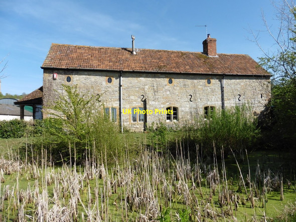 Photo 6"x4" Burton Dairy Farm Heale\/ST3825 c2016