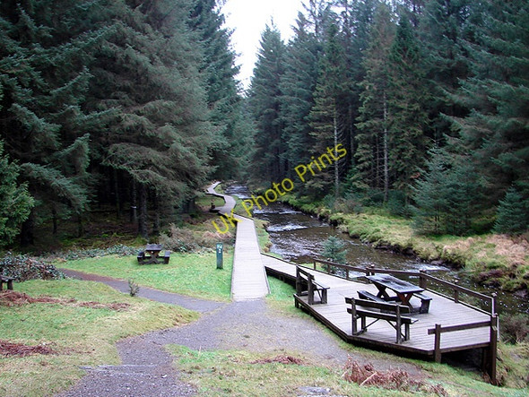 Photo 6"x4" The end of the boardwalk section of the Severn Valley Way Tynyrwtra\/SN8885 c2009