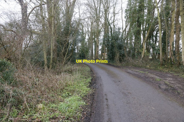 Photo 6"x4" Road towards Ovington Ovington\/SU5631 c2016