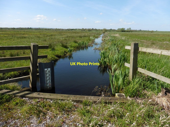 Photo 6"x4" Drain on West Sedge Moor Woodhill\/ST3527 c2016