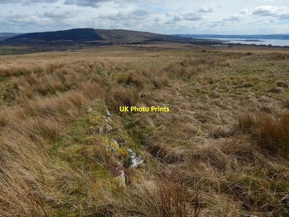 Photo 6"x4" Overgrown dry-stone wall Helensburgh c2016