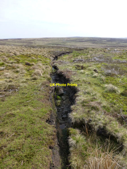Photo 6"x4" Deep gully formed from drainage ditch Dod Hill\/NT9100 c2016